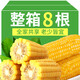 問(wèn)君 甜糯黑玉米棒真空包裝黏糯玉米粒220g/根減餐低脂代餐 【鮮香軟糯】黃糯玉米220g*8根