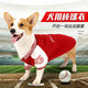 PELOMIC中型犬狗狗衣服秋冬款棒球衛(wèi)衣柯基衣服寵物運(yùn)動(dòng)服飾保暖冬裝狗服 紅色 XL 胸圍70cm背長(zhǎng)48cm體重22-30斤
