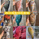 海南三沙西沙魚 青衣魚西星斑彩眉魚海鮮套餐雜魚組合裝五斤 10斤裝珊瑚魚組合（8-12條）