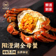 【活蟹】陽(yáng)澄逍遙 陽(yáng)澄湖大閘蟹全母蟹3.0兩8只鮮活螃蟹禮盒現貨河蟹生鮮水產(chǎn)生鮮禮盒