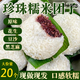 糯米團子 珍珠糯米團子豆沙黑芝麻原味花生口味傳統糕點(diǎn)速食 珍珠糯米團長(cháng)[原味]4大袋*20個(gè)