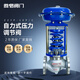 恭恪閥門自力式壓力調(diào)節(jié)閥 蒸汽氮?dú)?減壓穩(wěn)壓調(diào)壓泄壓高溫恒壓背壓 ZZYP 控制閥后壓力型 【支持定制/請?jiān)兛头?ZZYP-16C【碳鋼閥體】