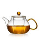 美斯尼  茶壺玻璃泡茶壺帶過濾泡茶器居家用功夫茶具