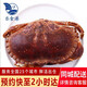 【活鮮】樂(lè)食港 鮮活面包蟹 英國(guó)愛(ài)爾蘭活黃金蟹大螃蟹活蟹 700-800g/只