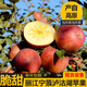 拉爾莊園正宗云南麗江寧蒗冰糖心丑蘋(píng)果 脆甜富士蘋(píng)果 當季新鮮現摘 24個(gè)精品特大果禮盒裝（果徑80-100mm）