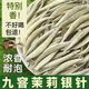 御茗恩茶葉2025新茶茉莉白毫銀針特級(jí)濃香型茉莉花茶廣西橫縣花茶 九窨茉莉銀針250克