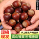 鮮合作（XIANHEZUO）【順豐發(fā)貨】2025年現摘福建特產(chǎn)建甌高山錐栗圓尖油栗子新鮮板栗 精選中果（2.1-2.3cm） 凈重3斤裝