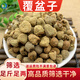 珈祁堂覆盆子中藥材新貨無硫大顆粒非野生種植煲湯泡水喝 覆盆子100克【新貨】