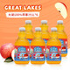 大湖 上好佳Great lakes100%蘋(píng)果汁果汁飲品1L*6瓶端午節日聚會(huì )聚餐