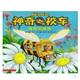 神奇校車(chē)圖畫(huà)書(shū)版 全套共12冊喬安娜柯?tīng)栔?zhù)神奇校車(chē)在人體中游覽 迷失在太陽(yáng)系3-10歲 奇妙的蜂巢