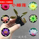 四季開花睡蓮水培植物迷你根塊荷花蓮花陽臺綠植花卉水養(yǎng)睡蓮盆栽 迷你小睡蓮6棵 不含盆