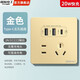 國際電工雙USB插座面板20W快充墻壁無需充電頭Type-c家用五孔插座快充面板 五孔20W快充USB+type-c【金色】