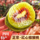 世果達正宗四川都江堰紅心獼猴桃青城山成都特產(chǎn)水果整箱新鮮迷糊桃禮盒 24個(gè)中果【單果70g+】