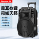紐曼N509廣場舞音響移動家用戶外K歌藍(lán)牙音箱拉桿便攜式重低音大音量超長續(xù)航 12吋