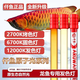 仟魚龍魚專用發(fā)色燈誘色增色仟魚T5魚缸原子燈nec金龍紅龍魚燈潛水燈 紫紅15000K 90CM（適合1-1.2米缸）