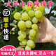 拉爾莊園【順豐】青島大澤山白玫瑰香葡萄 澤山一號澤玉綠葡萄 新鮮葡萄 4斤