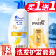 海飛絲洗發(fā)水護(hù)發(fā)素二合一洗護(hù)套裝洗頭膏蓬松去屑止癢控油柔順 清爽去油500g+乳液修護(hù)護(hù)發(fā)素500