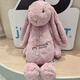 JELLYCAT專(zhuān)柜正品jellycat邦尼兔公仔bunny羞害兔子玩偶花布小兔毛絨玩具 郁金香粉兔子(贈送防塵袋) 31cm