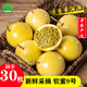 老農(nóng)車(chē)田間【30枚裝】天然純香果老農(nóng)嚴(yán)選欽蜜9號(hào)黃金百香果新鮮香甜可口 嚴(yán)選小果(單果重量40-60g) 30枚裝