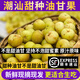 良知農(nóng)哥 【順豐】現(xiàn)摘新果 潮汕新鮮油甘果 牛甘果余甘果油柑果子滇橄欖 甜種青油甘丨陸運 早期偏青 2斤