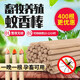 耐爾尼養殖場(chǎng)專(zhuān)用蚊香畜牧蚊香棒豬場(chǎng)獸用驅蚊豬圈滅蚊蠅戶(hù)外野外強力型 標準1.2米 (400根) 滅蚊用