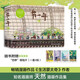 有一年（知名插畫(huà)師、暢銷(xiāo)漫畫(huà)作品《生活蒙太奇》作者天然的插畫(huà)作品集 贈四季明信片x4）