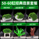 瘋狂水草水草缸莫斯魚(yú)缸躲避屋寄居蟹魚(yú)缸擺件造景50-60cm缸 源頭直發(fā)包郵