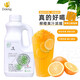 Doking盾皇6倍濃縮果汁飲料商用 奶茶飲品店專(zhuān)用果味濃漿原料批發(fā) 柳橙汁