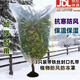 靚做防寒袋花盆套袋加厚款植物防寒保溫罩冬季花卉綠植盆栽防凍罩 植物防棟袋【3只裝帶封口扎帶】 保溫罩周長1.2米【寬60*80高】