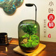 封茗【生命之樹(shù)】生態(tài)瓶苔蘚微景觀(guān)青苔造景缸植物辦公室綠植桌面盆栽 生命之樹(shù)微景觀(guān)(煙灰款)+植物燈