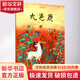 九色鹿 精裝 學(xué)生課外閱讀 推薦閱讀 兒童文學(xué)