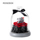 RoseBox永生花玫瑰花舉心熊禮盒情人節生日禮物紀念日送女生朋友老婆實(shí)用