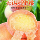 無(wú)錫陽(yáng)湖山水蜜桃 白鳳水蜜桃  孕婦應季水果單果4-6兩 端午禮盒 水蜜桃 12粒禮盒裝單果4-6兩