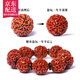 彩荷 紅皮大金剛菩提子手串佛珠散珠高密紅肉六七八瓣 七瓣一串25mm