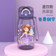 迪士尼（Disney）直飲杯夏季男女大容量Tritan便攜食品級塑料水杯小學(xué)生上學(xué)專(zhuān)用 3373-蘇菲亞紫色450ml