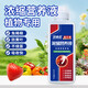 貝意品花卉盆栽花肥料發(fā)財(cái)樹(shù)綠蘿多肉蘭花巴西木富貴竹水草濃縮液體肥 濃縮營(yíng)養(yǎng)液【免稀釋防黃葉】