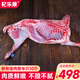 杞樂康 寧夏灘羊肉 新鮮現(xiàn)宰羊肉全羊半只羊腿羊排中秋送禮盒裝源頭直發(fā) 【斷骨連肉】10斤整半只乳羔羊