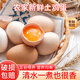 對(duì)面小城現(xiàn)撿土雞蛋鮮雞蛋柴雞蛋初生蛋單枚50±5g 20枚裝(單枚50±5g)