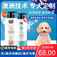4LEGS泰迪沐浴露狗狗沐浴露棕紅專用貴賓犬洗發(fā)水除臭殺菌持久留香狗狗洗澡沐浴液 香檳色專用