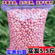 2025年現剝新鮮生花生米大?；ㄉ噬霓r家自種粉皮白沙曬干新貨 5斤新貨精選大粒生花生