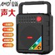 夏新Amoi  A3戶(hù)外廣場(chǎng)舞插卡音響箱大音量手提便攜式藍牙收款播放器 黑色 標配