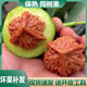 青皮文玩核桃運(yùn)氣開(kāi)三棱麒麟紋官帽四座樓大奔三菱白獅子南疆石 青皮官帽盤(pán)山四座樓55-58mm發(fā)2個(gè)