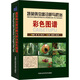 【陽光圖書】正版 蔬菜病蟲害診斷與防治彩色圖譜圖鑒大全 蔬菜病蟲害原色圖鑒 農(nóng)資經(jīng)營常用 番茄 黃瓜
