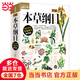 圖解本草綱目（《本草綱目》圖解版本，暢銷百萬冊圖解經(jīng)典系列全新修訂，忠于原著！中國中醫(yī)科學(xué)院研究員陳飛松、中國醫(yī)術(shù)專業(yè)委員會專家于雅婷聯(lián)袂審訂推薦！看懂中國藥典，就選這本?。?圖解本草綱目