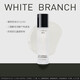 枝白 WHITE BRANCH輕透控油水乳護(hù)膚套裝清爽型保濕提亮控油補(bǔ)水滋潤(rùn)學(xué)生男女 輕透控油精粹水