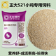正大521小雞飼料育雛專(zhuān)用小雞開(kāi)口料產(chǎn)蛋小雞專(zhuān)用飼料 正大521小雞飼料-5斤