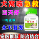 犬窩咳狗狗感冒寵物咳嗽干嘔鼻塞流鼻涕打噴嚏發(fā)燒專(zhuān)用窩咳凈片 3瓶 300L i【特效2送1】99%客戶(hù)選