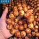 頂妃（DING FEI）崖柏木爆滿留疤手串手鏈男佛珠念珠文玩顆顆珍品手串禮物 留疤款（1條）  A27-210