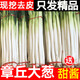 山東大蔥新鮮正宗特級甜脆章丘鐵桿大蔥特產(chǎn)蔬菜5斤香紅蔥頭 4500g