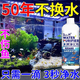魚(yú)缸凈水劑魚(yú)缸水質(zhì)清澈劑不換水凈水劑殺菌消毒消化細菌水質(zhì)凈化 300ml 1瓶 【2025升級款】